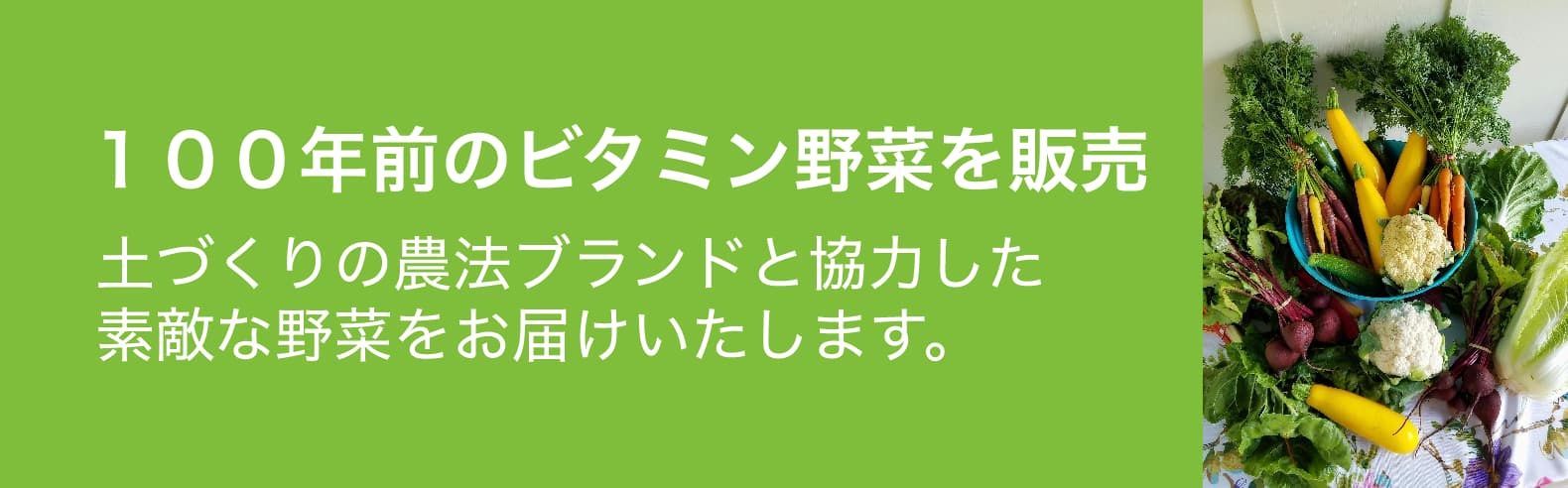 野菜詰め合わせ