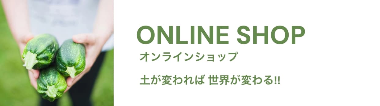 ONLINE SHOP