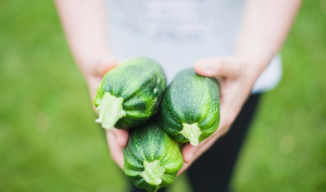 野菜のオンラインショップが開設予定