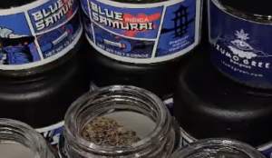 米国での販売をスタート